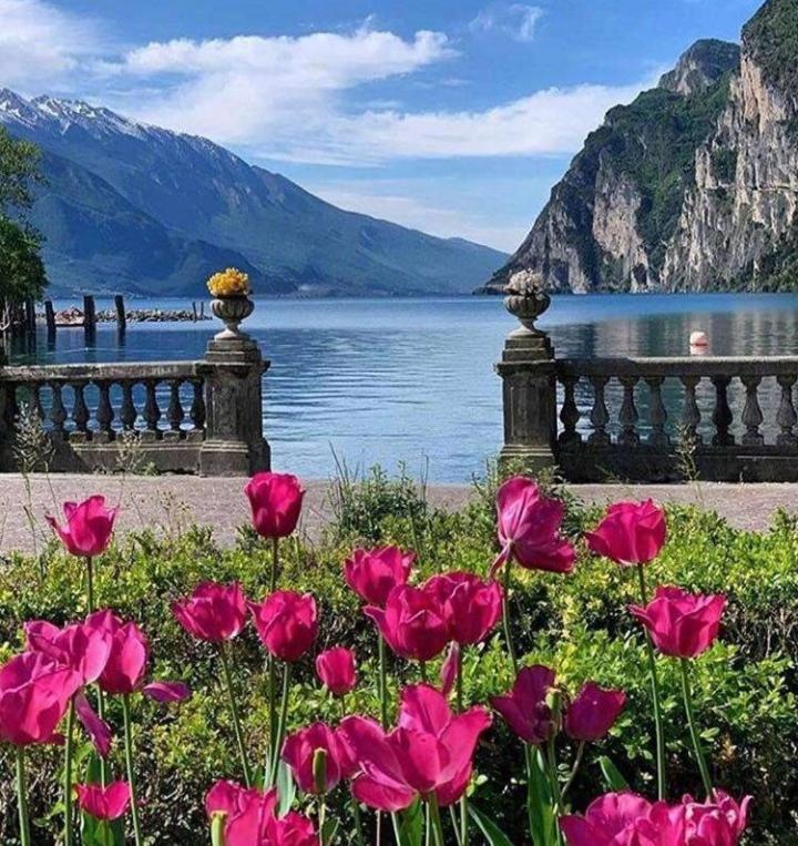 Appartamento Gioia Riva del Garda Extérieur photo